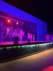 Amazing shows at night.