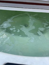 Nasty hot tub