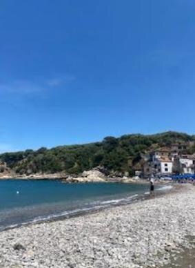 petit déjeuner au bord de mer 