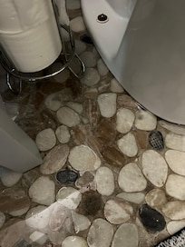 Sewage backup onto bathroom floor