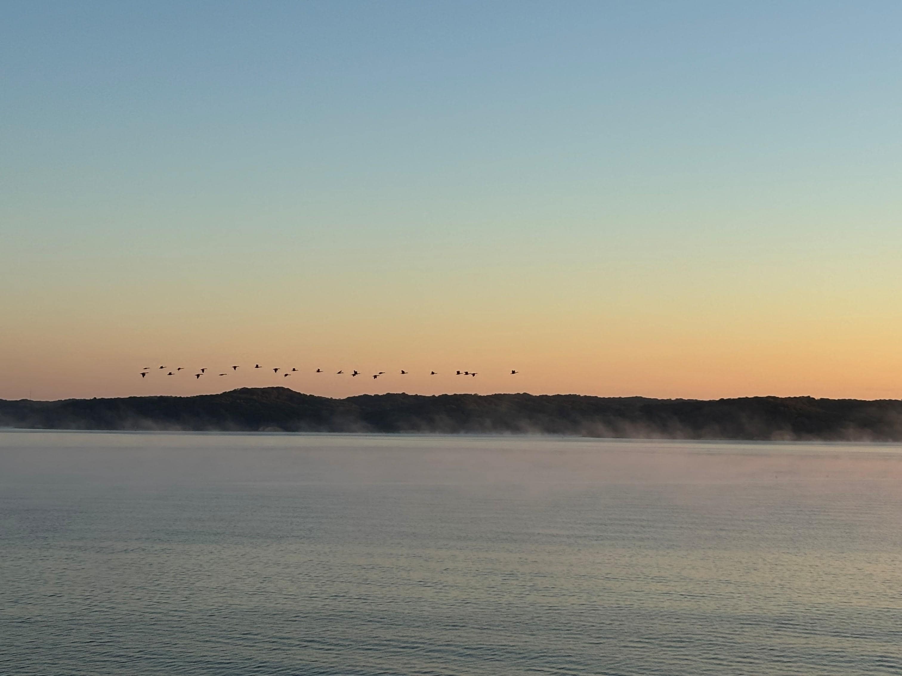 Sunrise pic with geese flying over Kentucky Lake from the deck