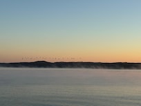 Sunrise pic with geese flying over Kentucky Lake from the deck