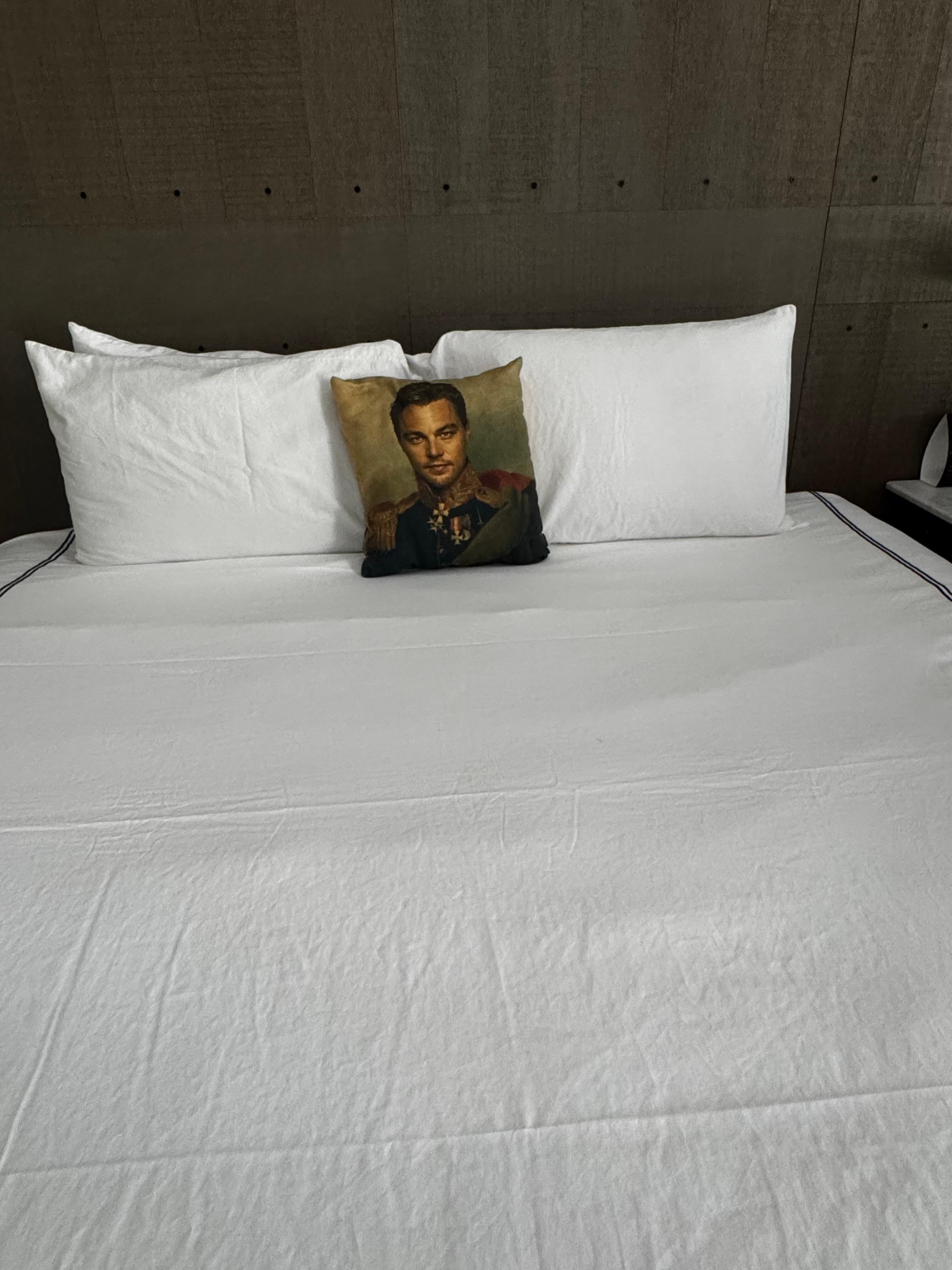 The pillow on our bed.