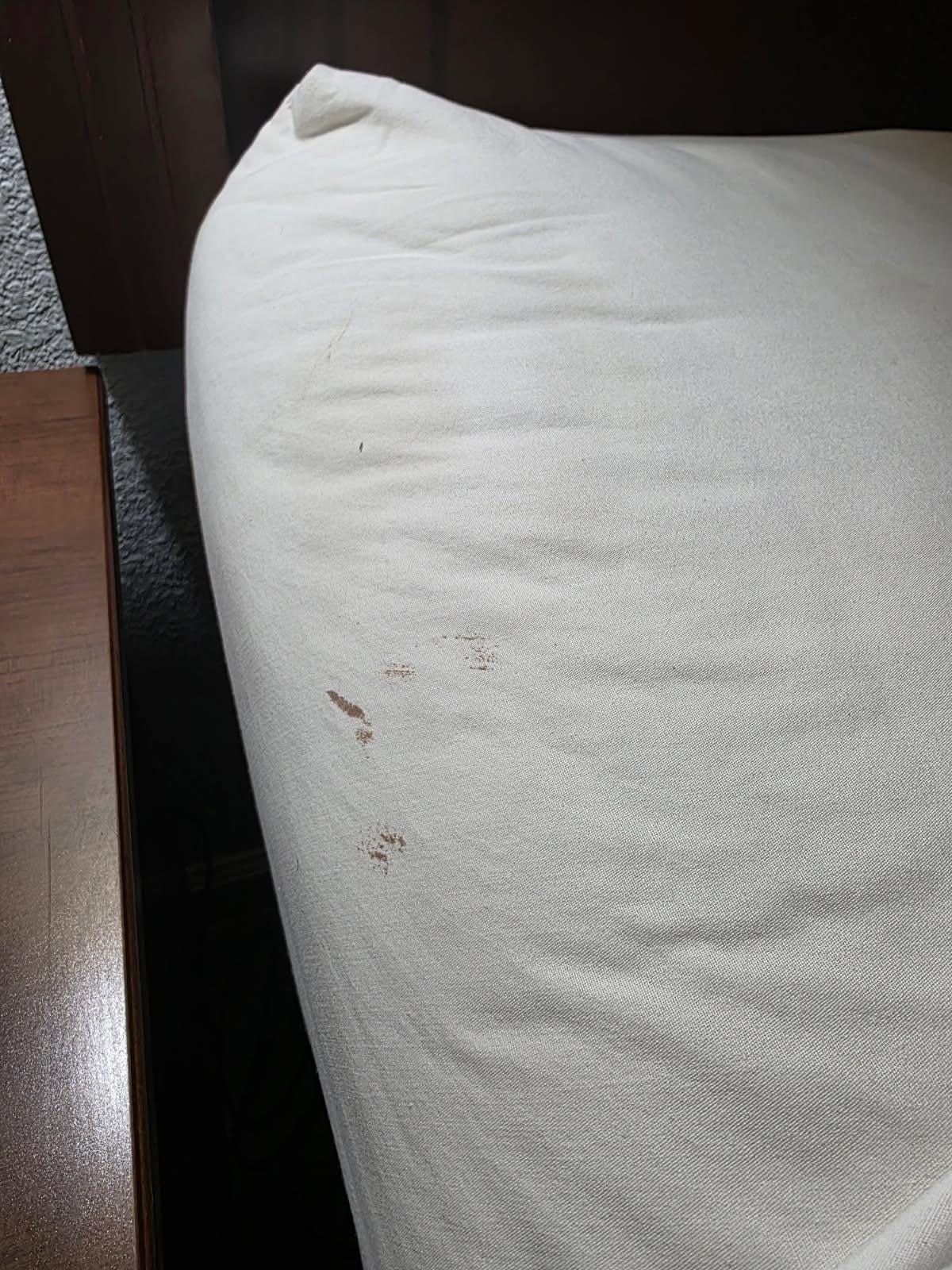 Blood stained sheets 