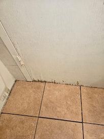 Cracked door in the bathroom