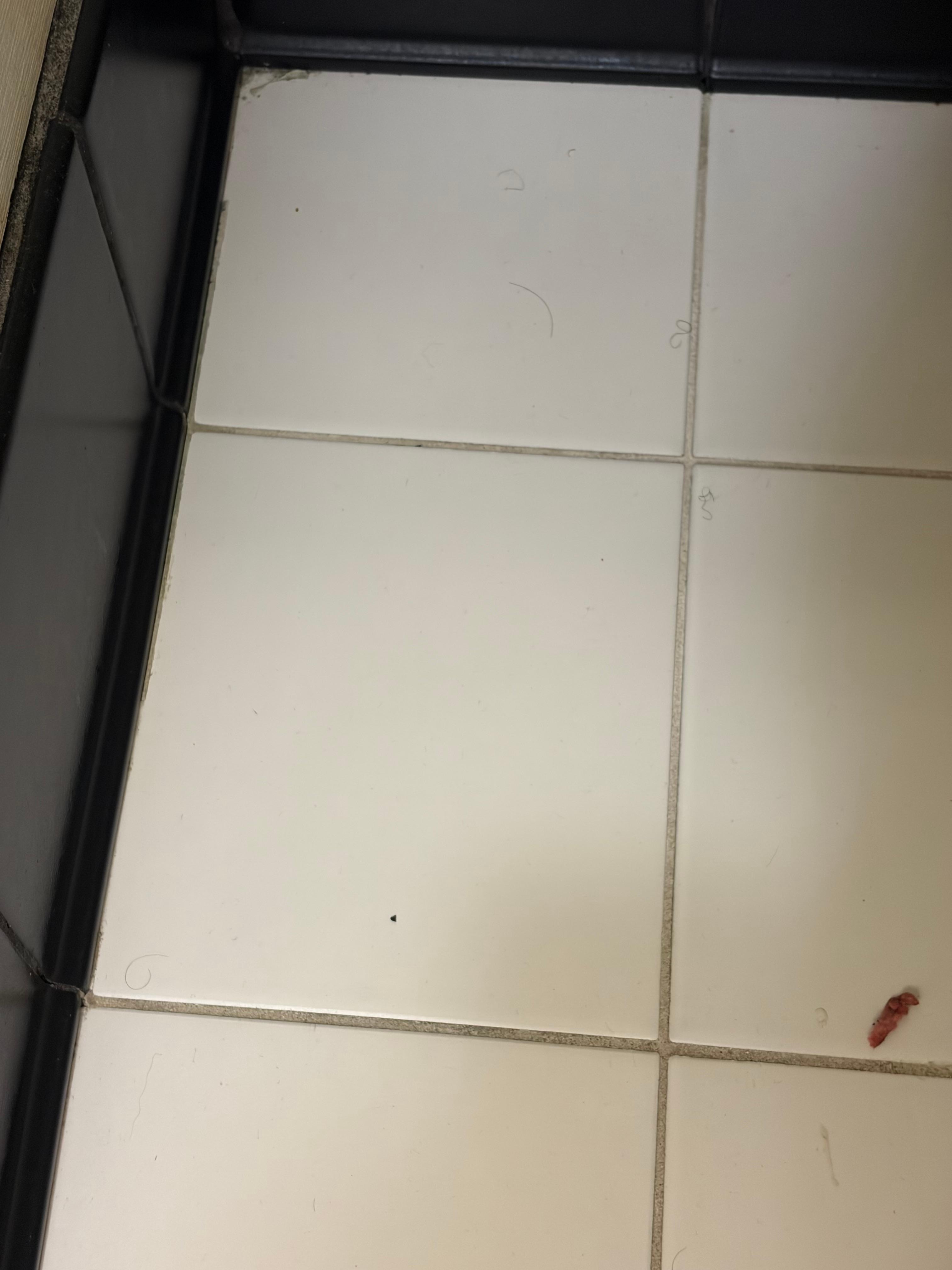 Bathroom floor with pubic hair and possibly used feminine product 