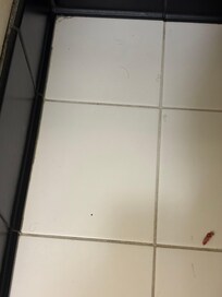 Bathroom floor with pubic hair and possibly used feminine product