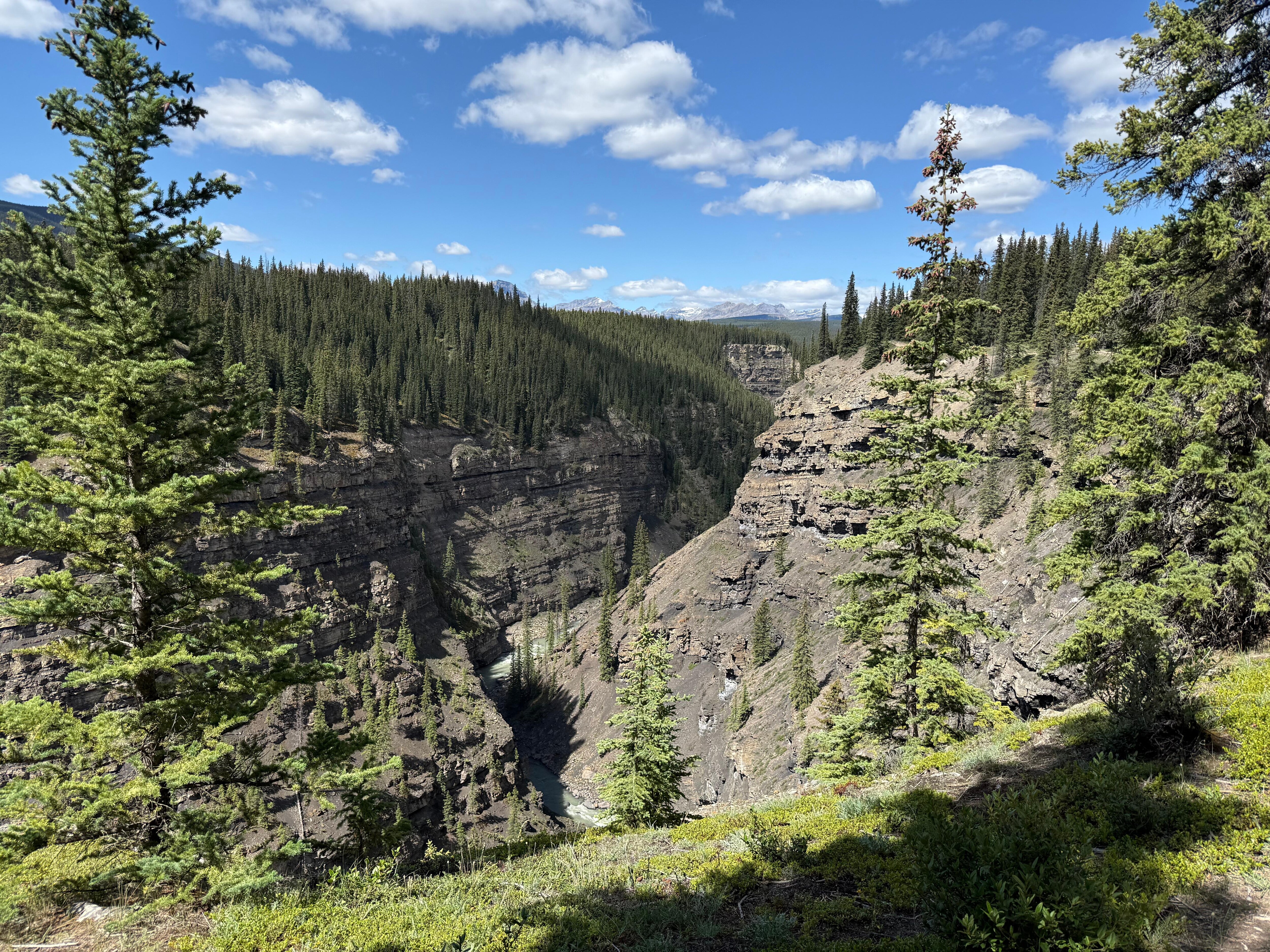 Big horn lookout