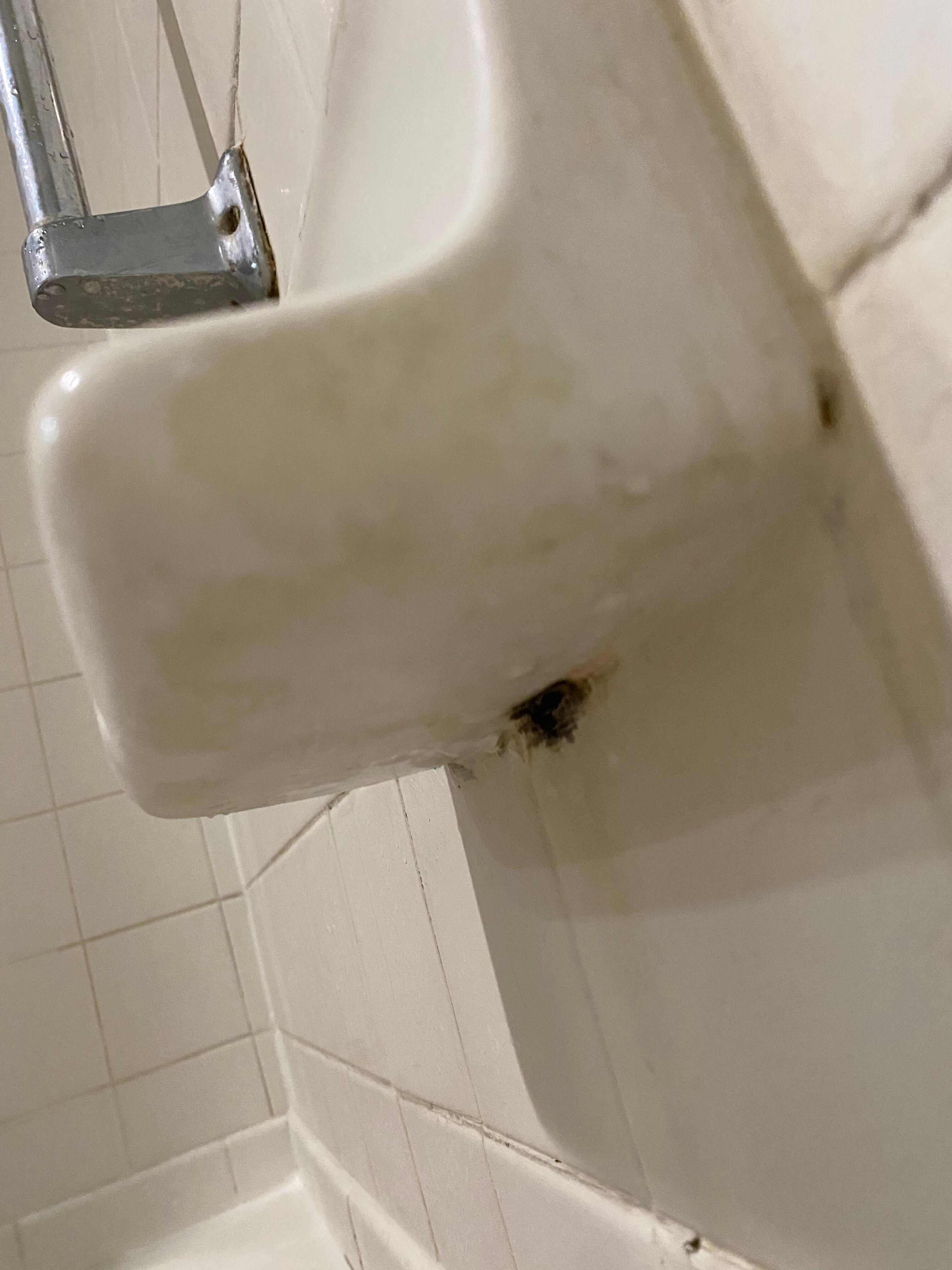 Mildew