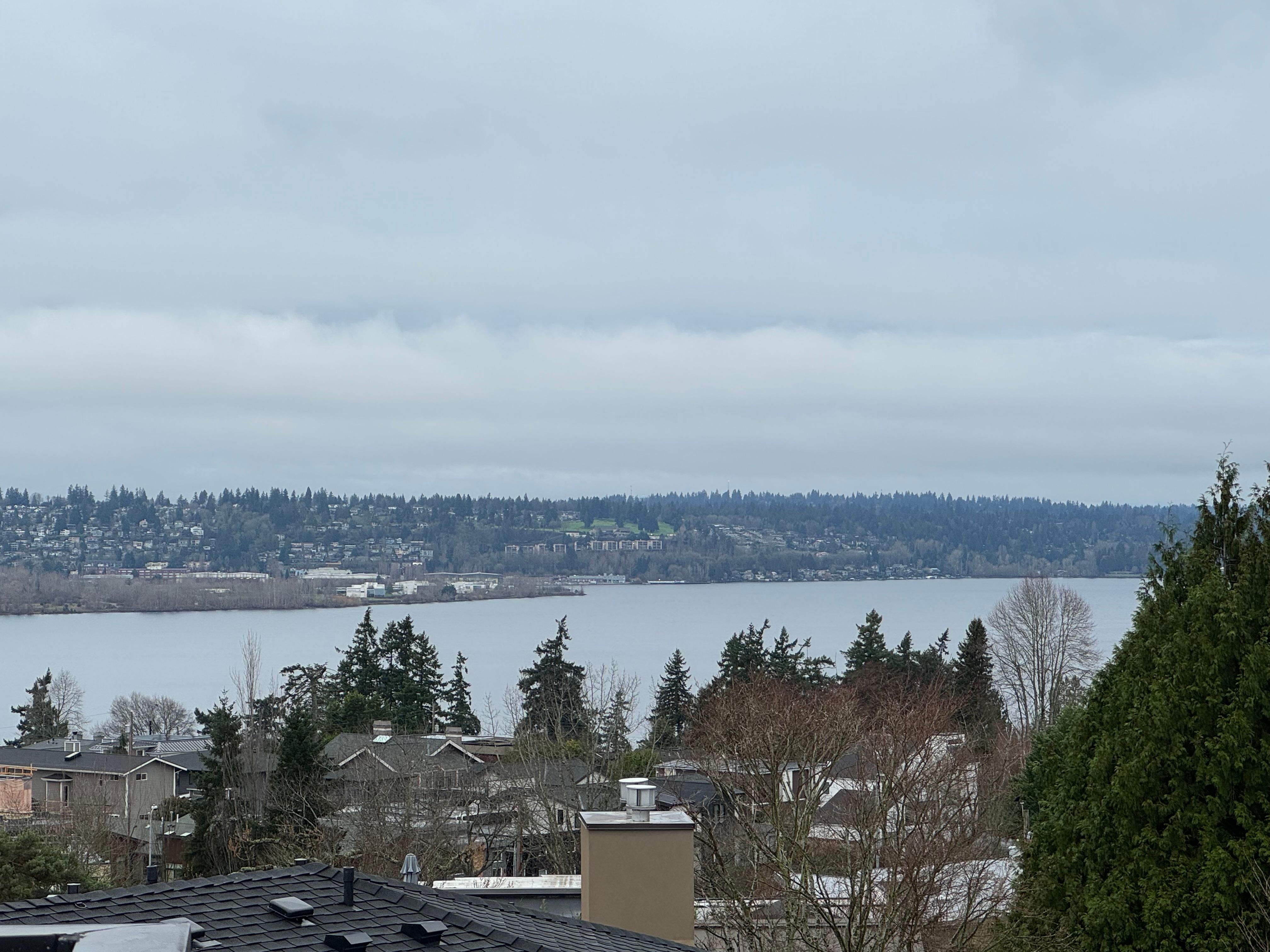 View of the lake from the rooftop balcony.