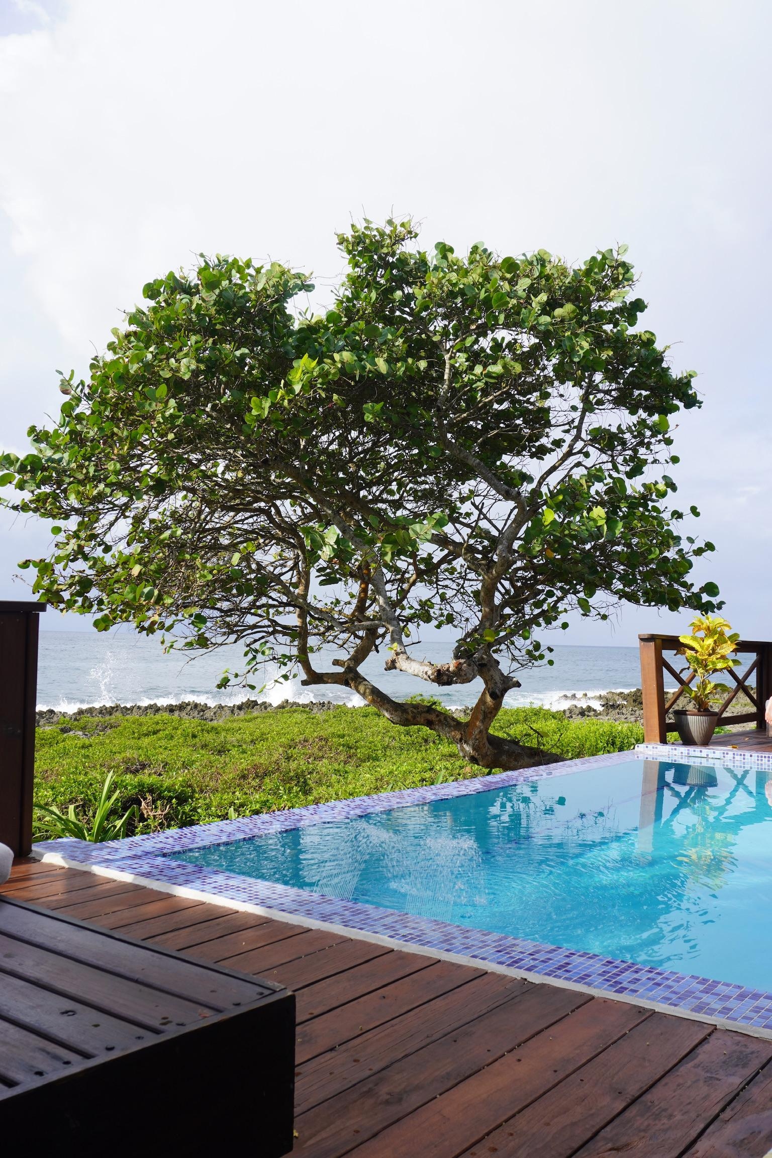 Pool with lounges and ocean view