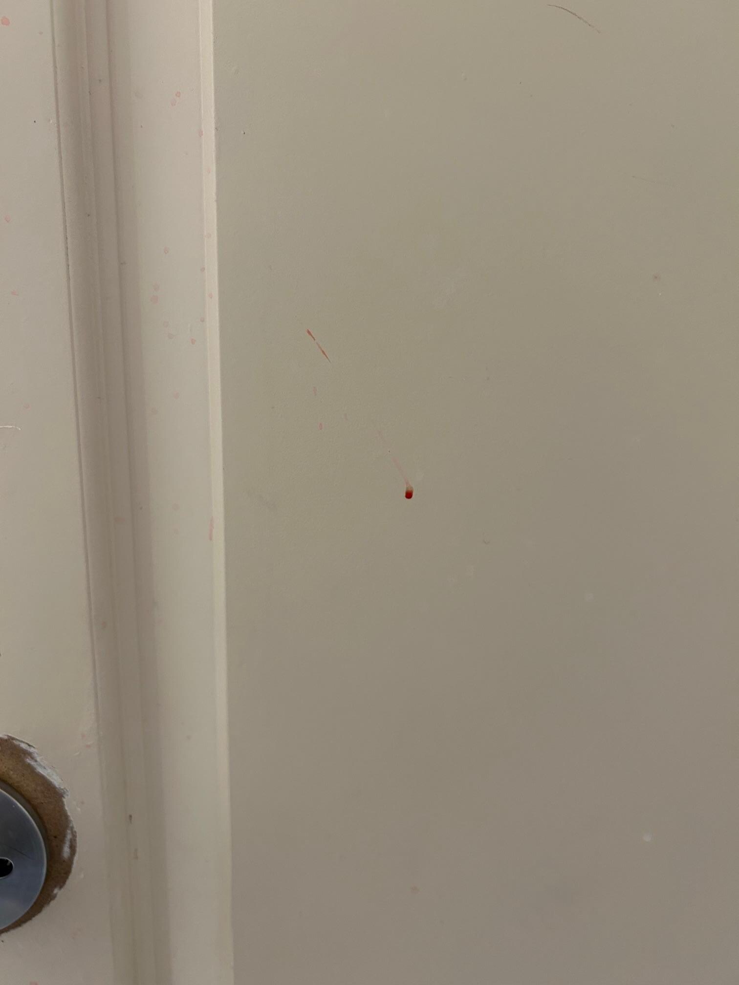 Not sure if this is blood or what. The whole door had splatters of something on it.