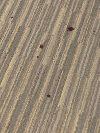 blood splattered floor