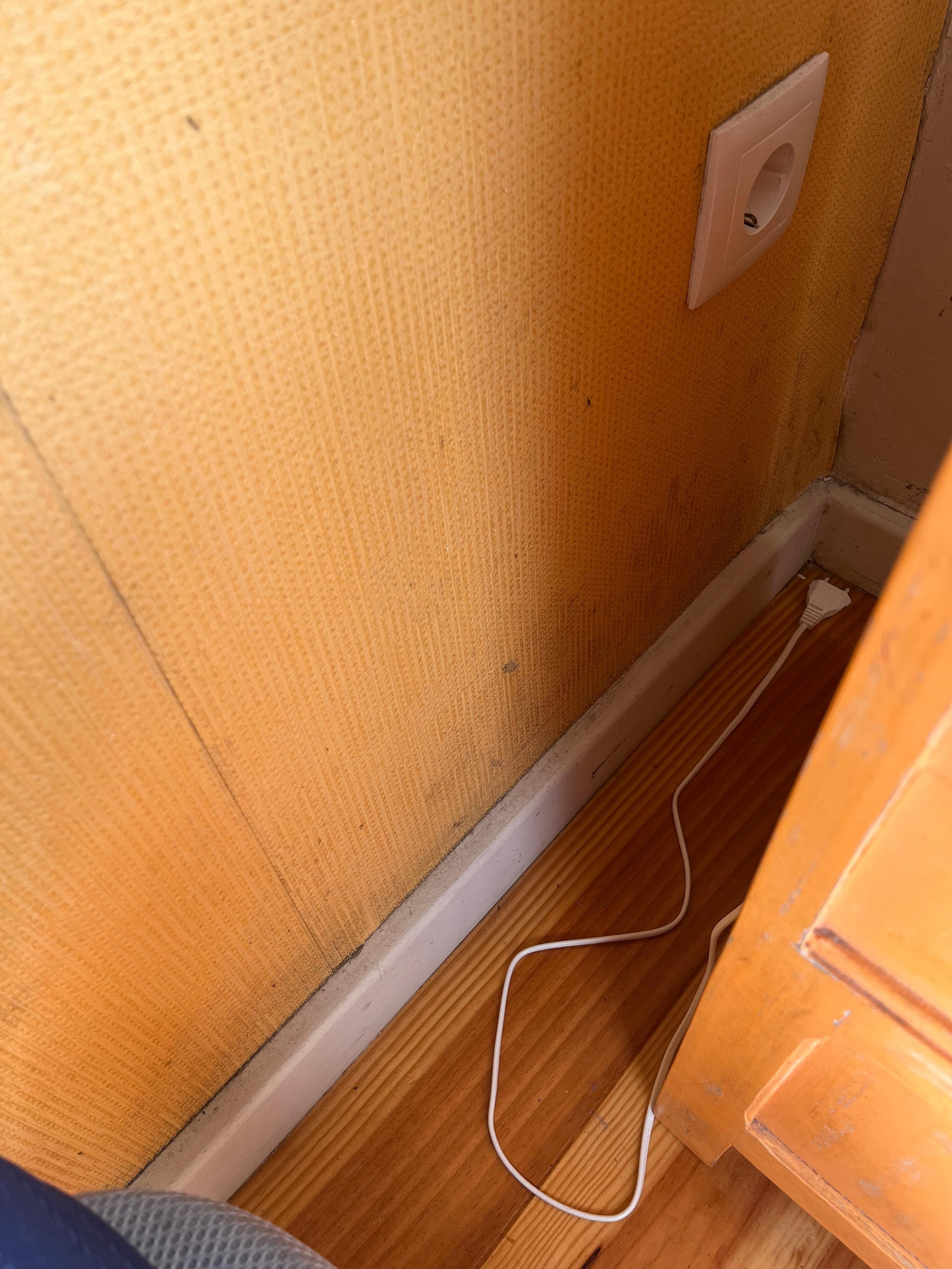 Mold and dirt on the wall beside the bed