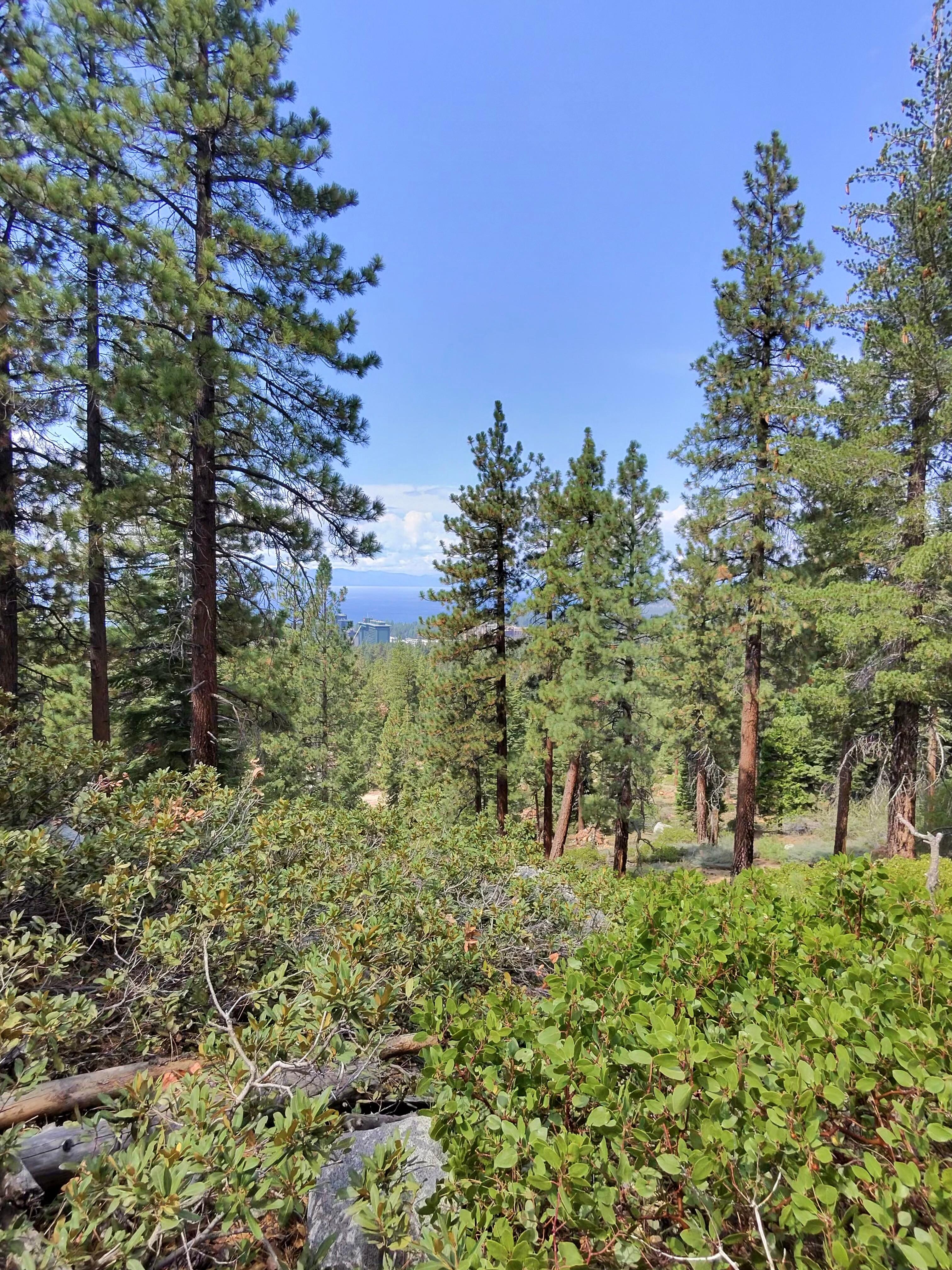 Hiking trail nearby. 