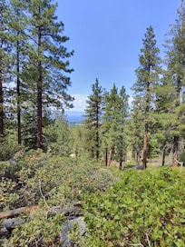 Hiking trail nearby.