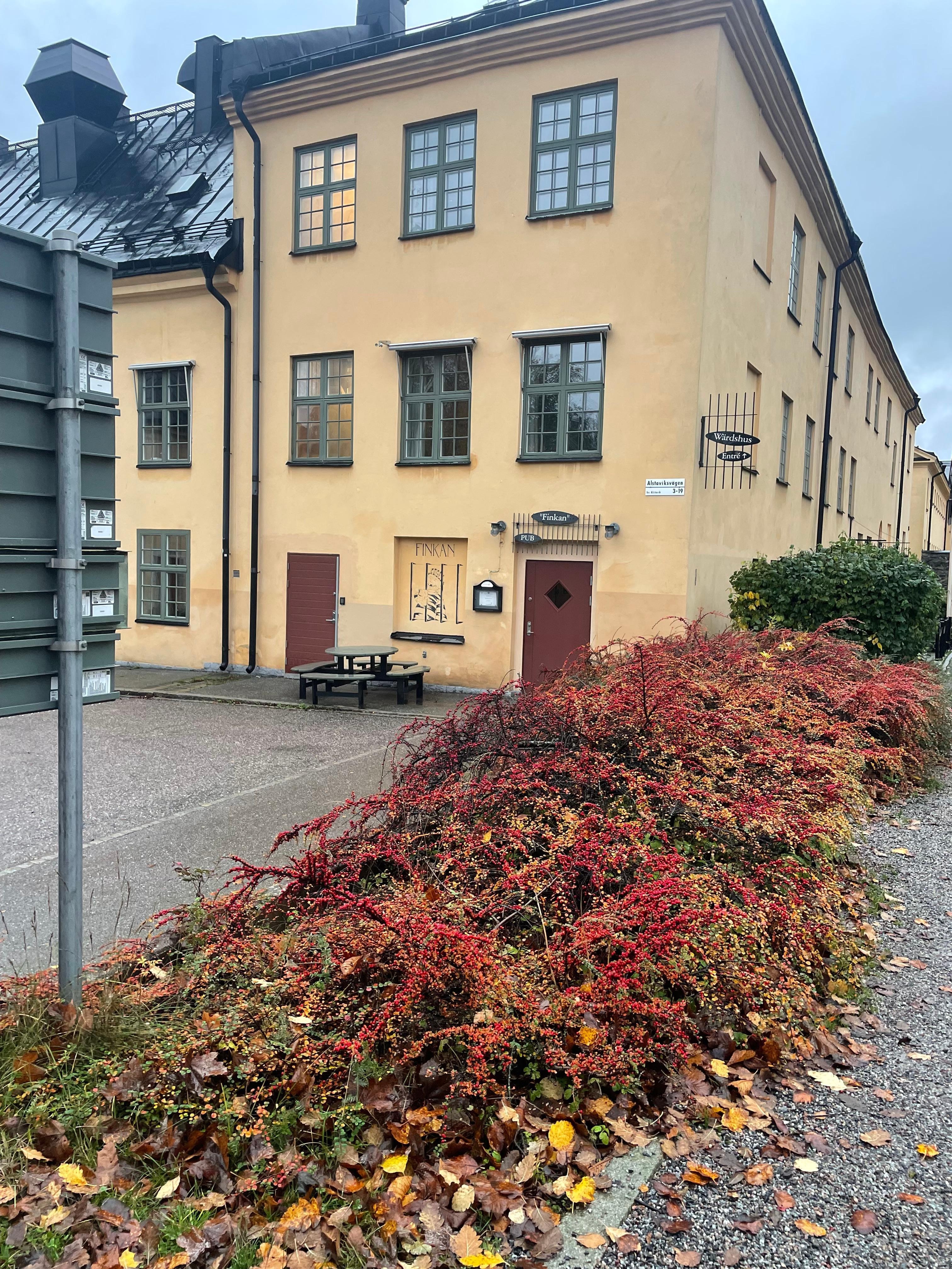 Trevlig/vacker omgivning 