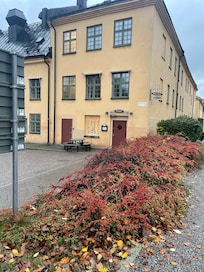 Trevlig/vacker omgivning