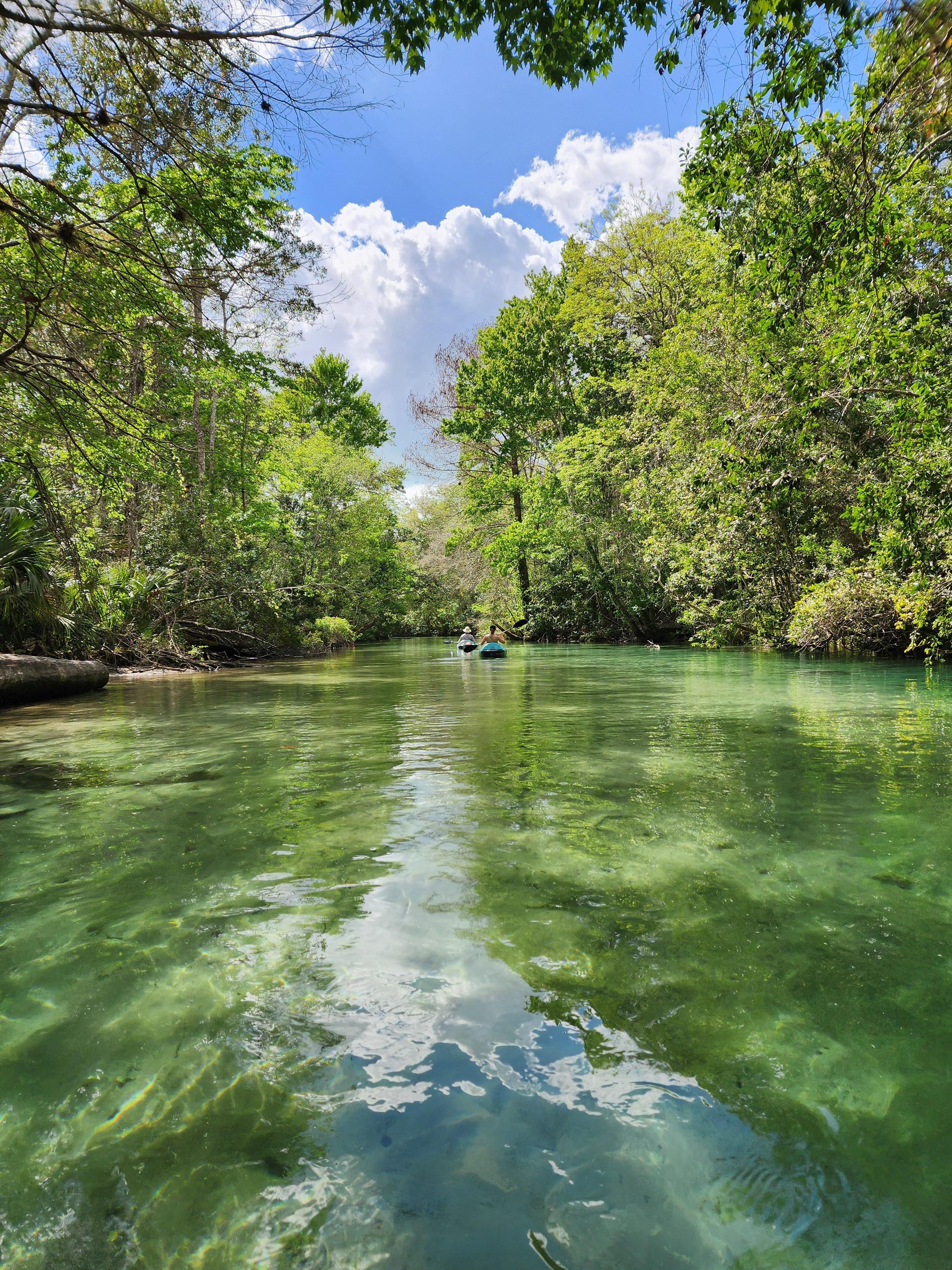 Kayaking on the Weeki Wachee