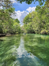 Kayaking on the Weeki Wachee