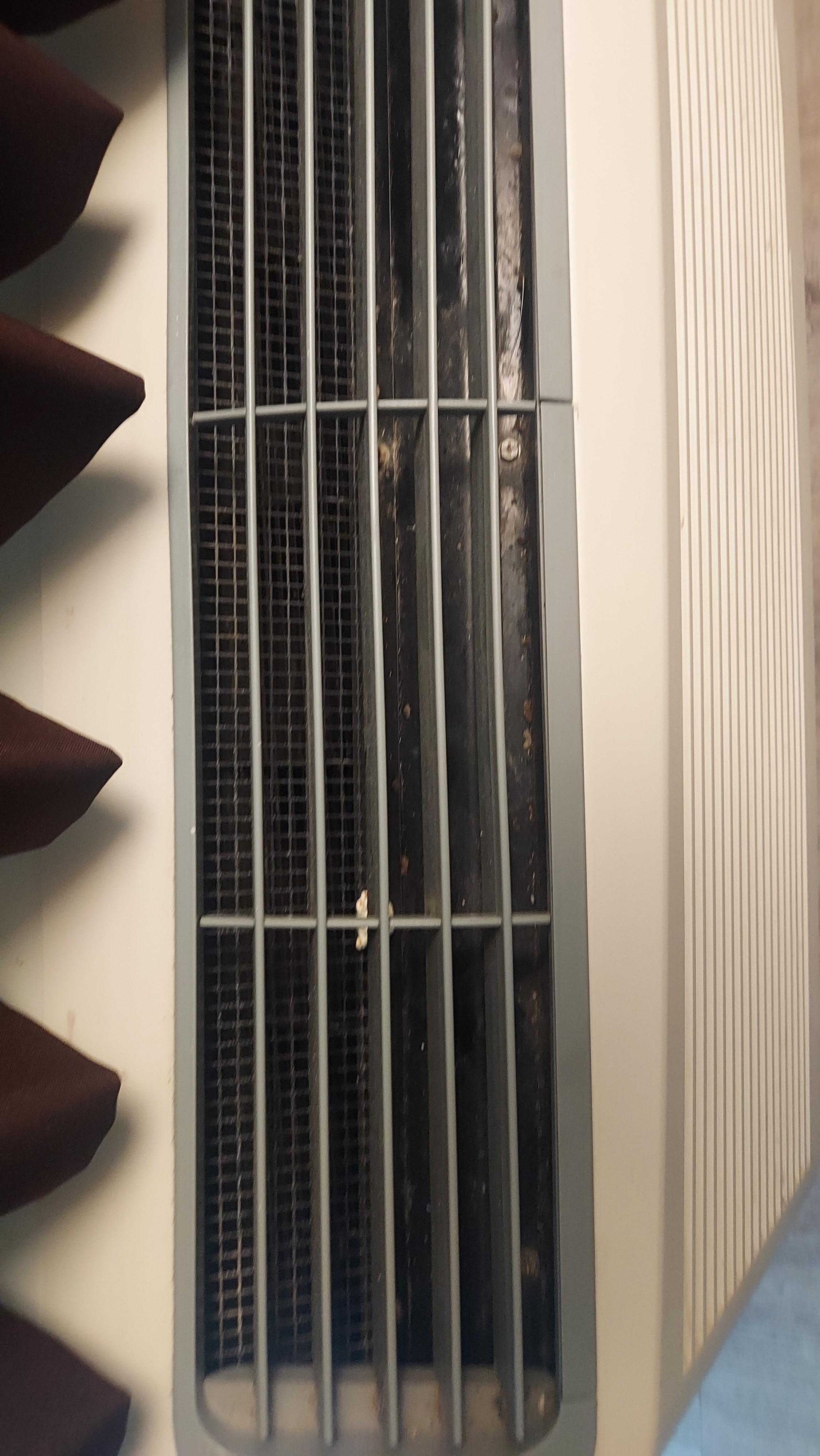Dirt and food in the air conditioner 