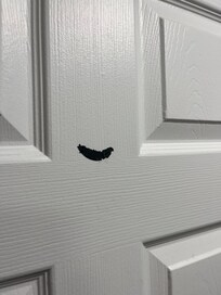 Hole in door