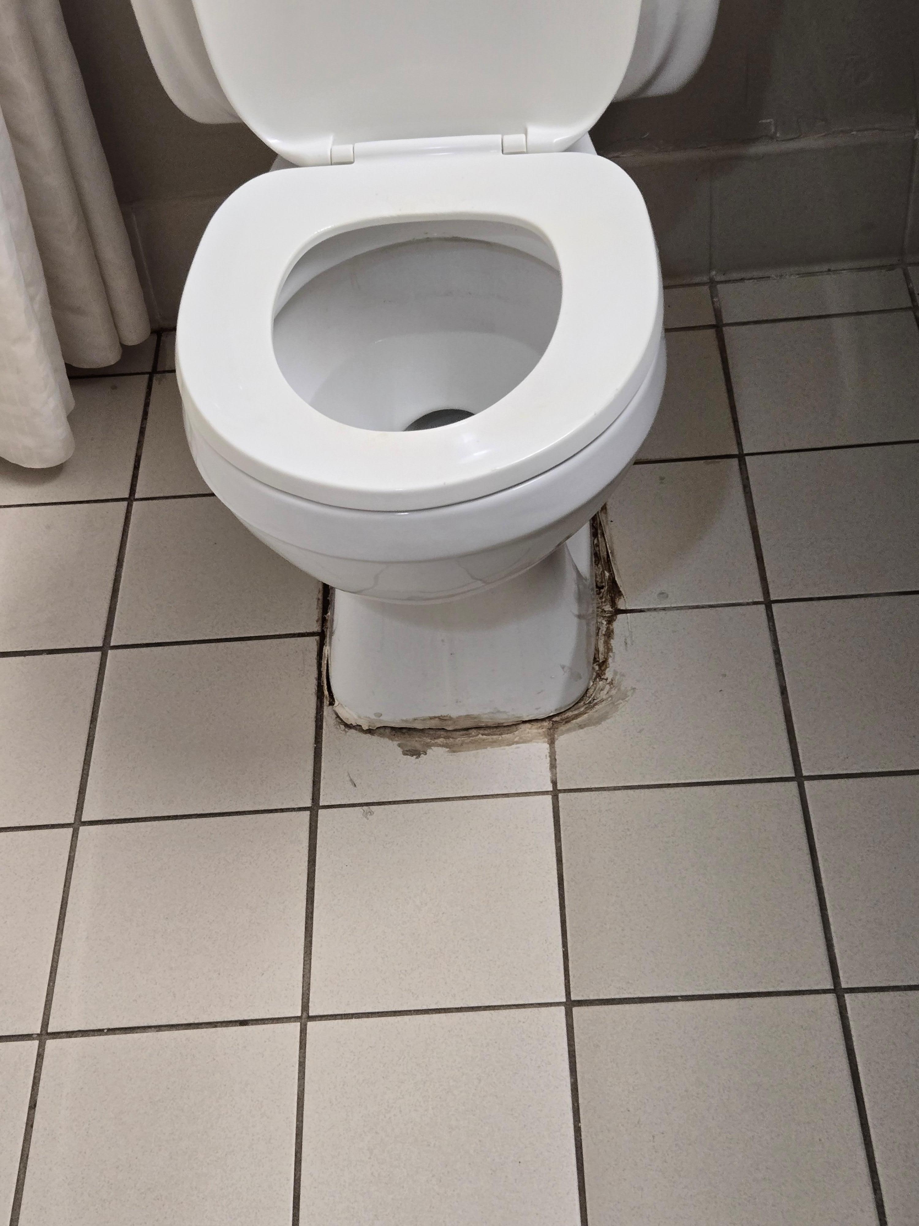 I wouldn't even brush my teeth in this bathroom