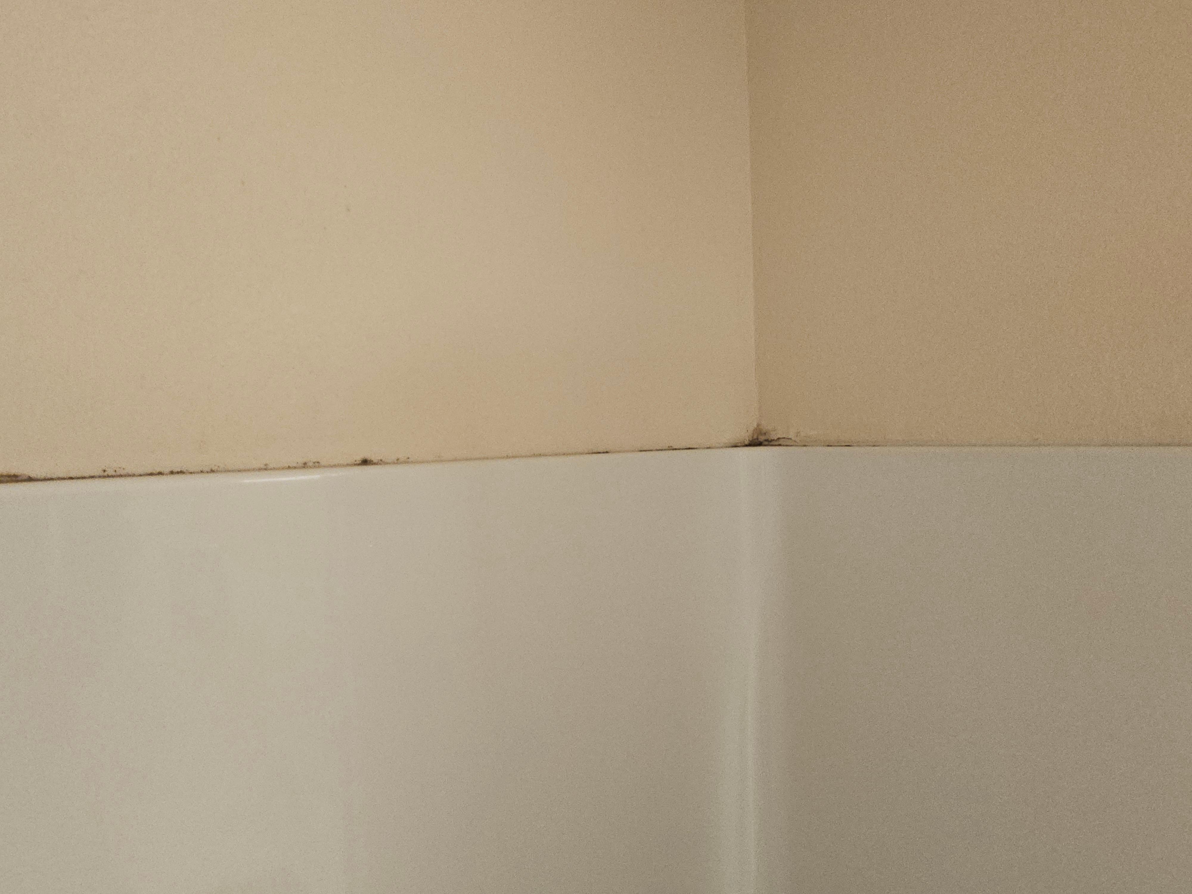 Mold around shower enclosure. Room. 207