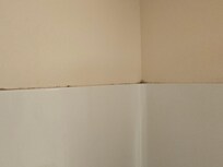 Mold around shower enclosure. Room. 207
