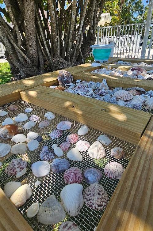 Shell cleaning bench