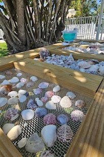 Shell cleaning bench