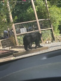 After she ignored us and kept on walking. Baby was way ahead.