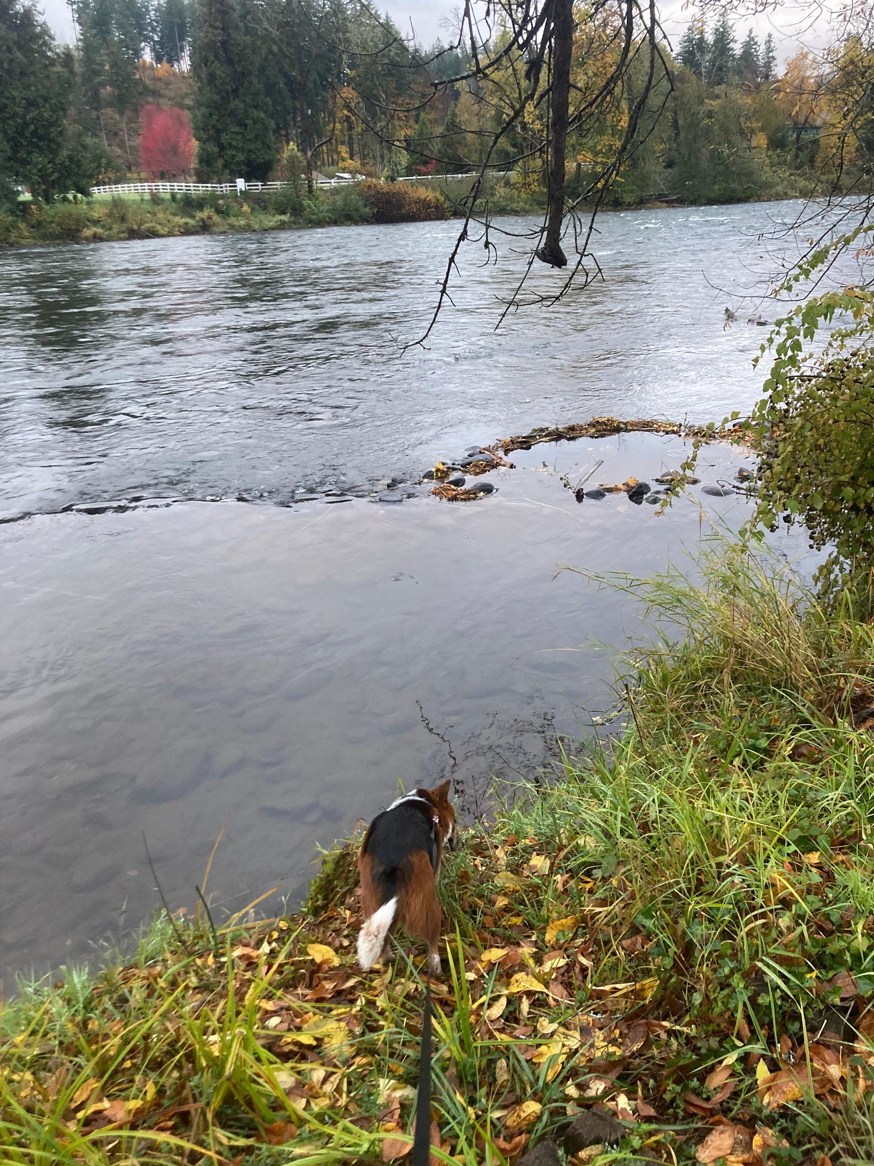 Beautiful river front property!