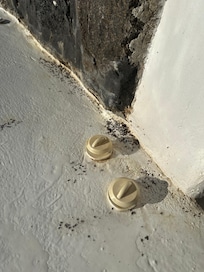 Some of the dead ants around the hot tub controls.