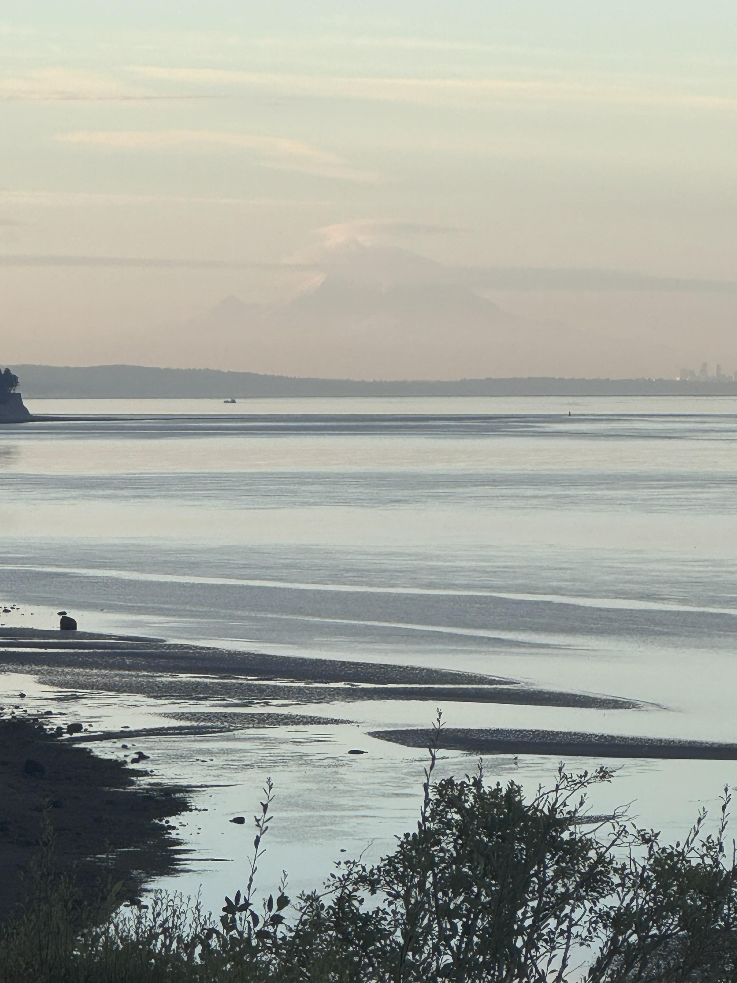 We had great low tides
