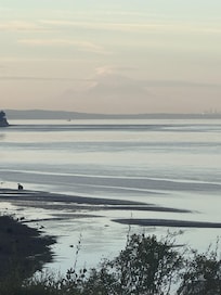We had great low tides
