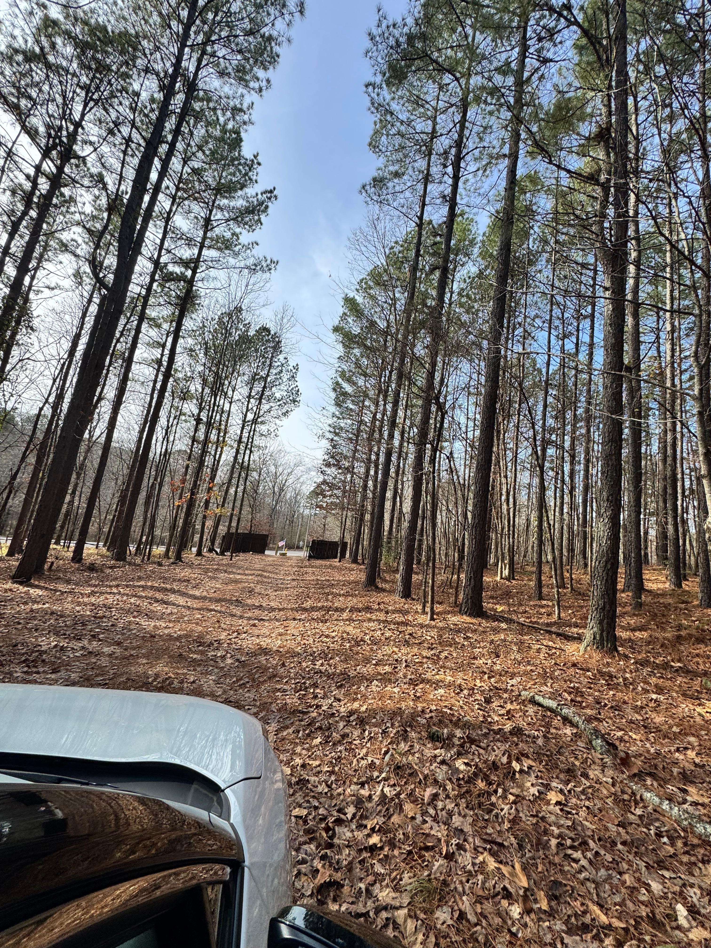 Serene view when you enter the property.