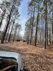 Serene view when you enter the property.