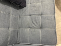 Wet and smelly sofa