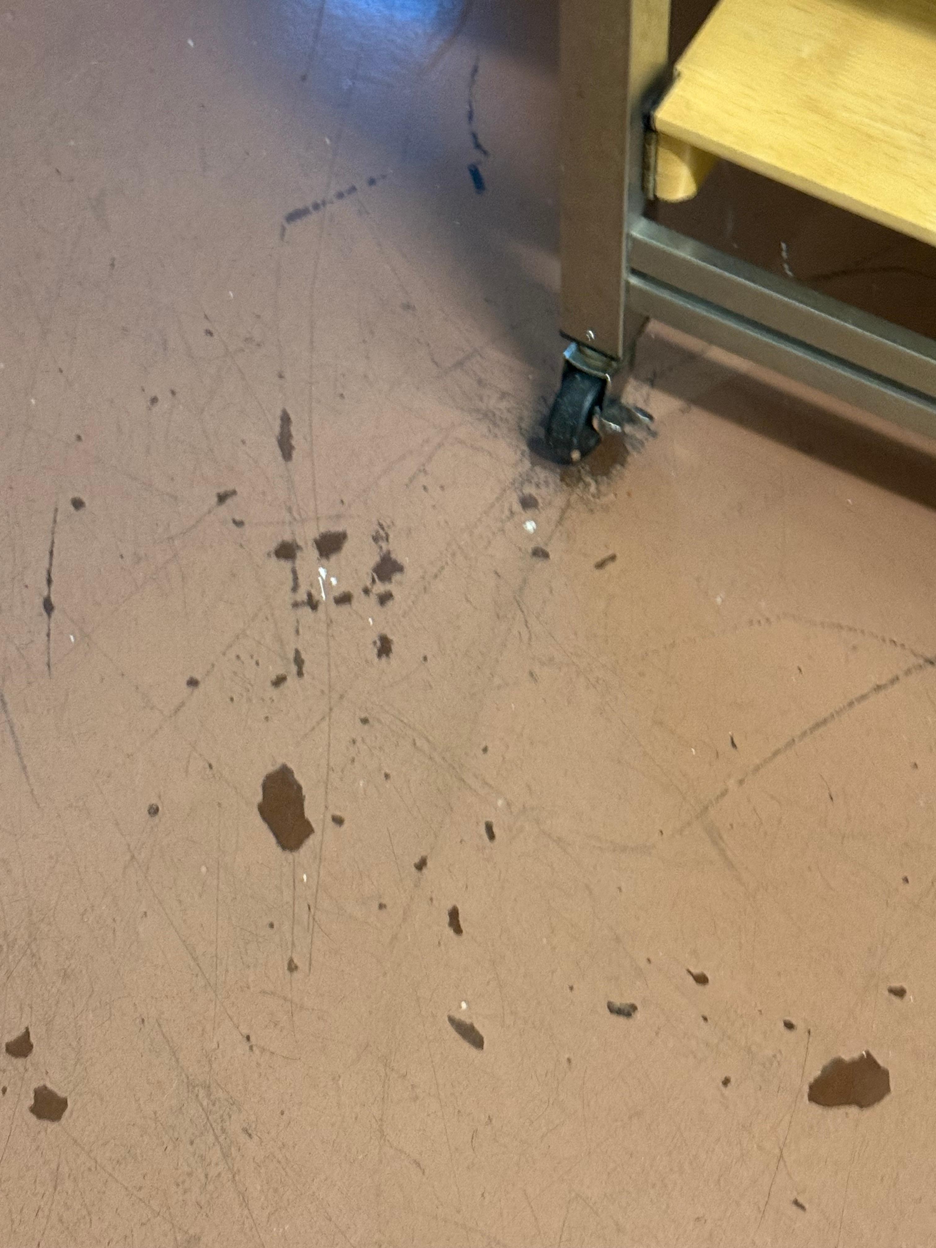 Another view of the "beautiful" floors