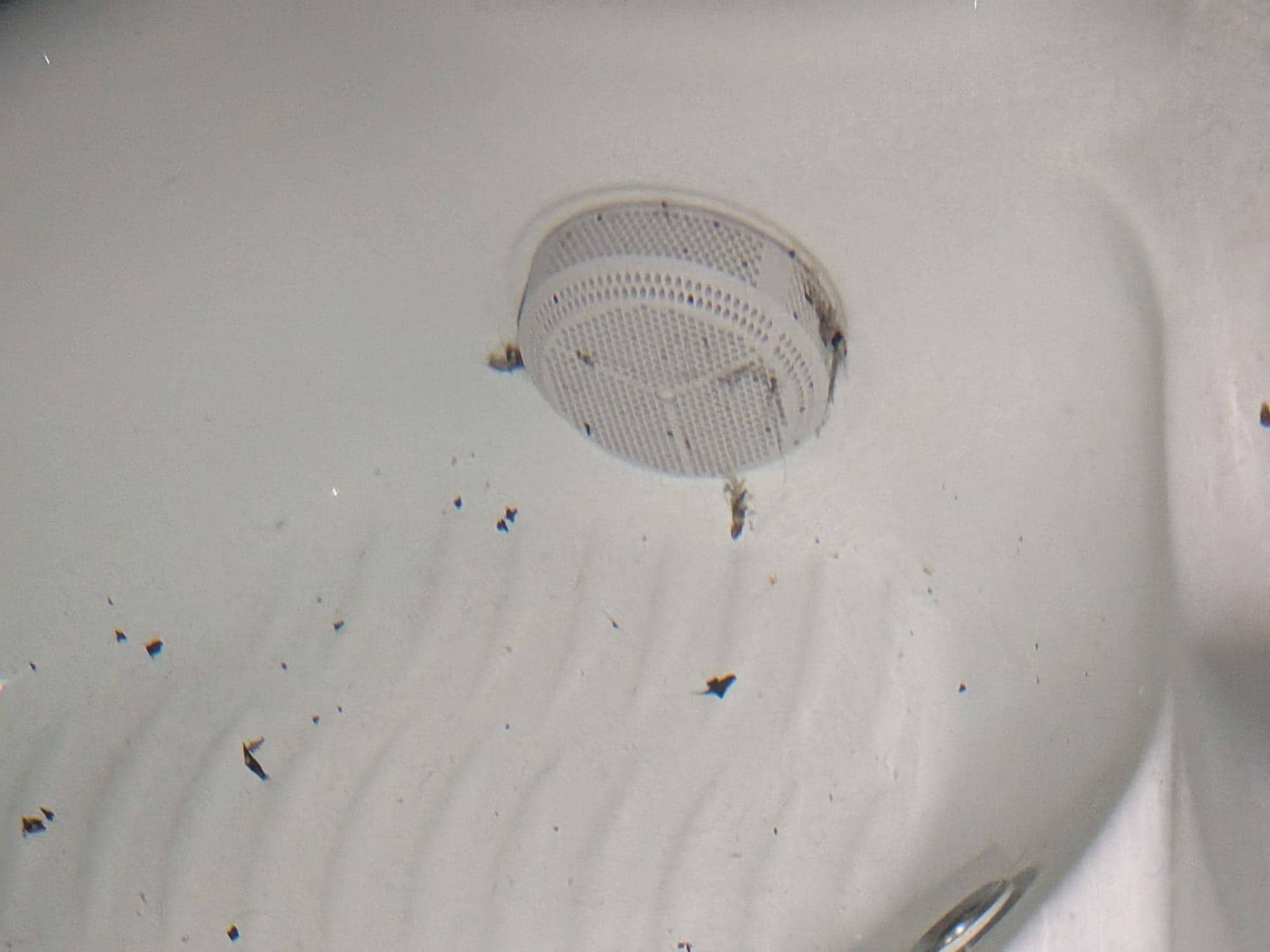 Filter in the hot tub