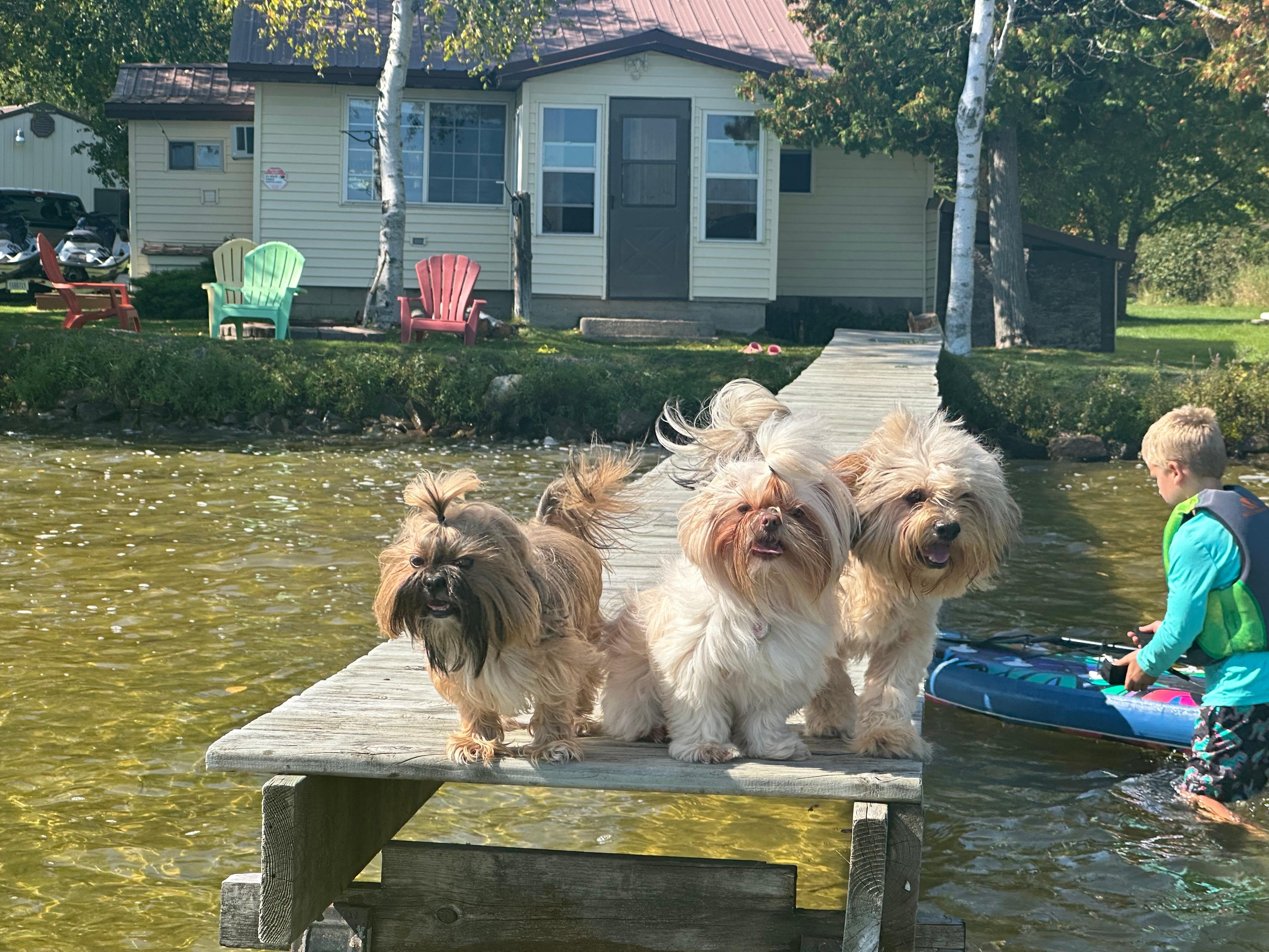 The home and dock. I’m standing in the water as it’s nice and shallow far out off the shore.