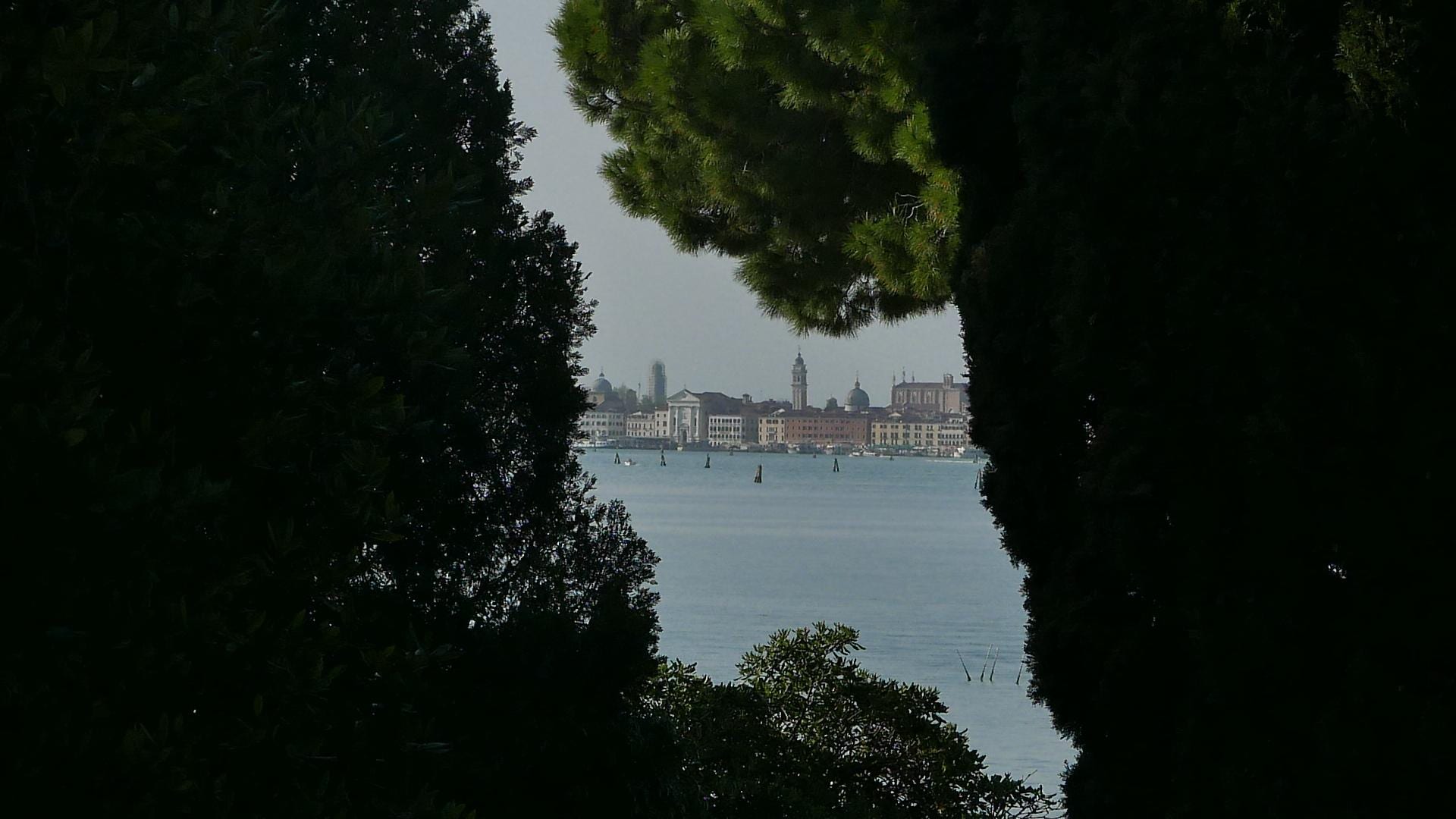 Un vedudista a Venezia