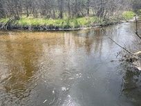 River view