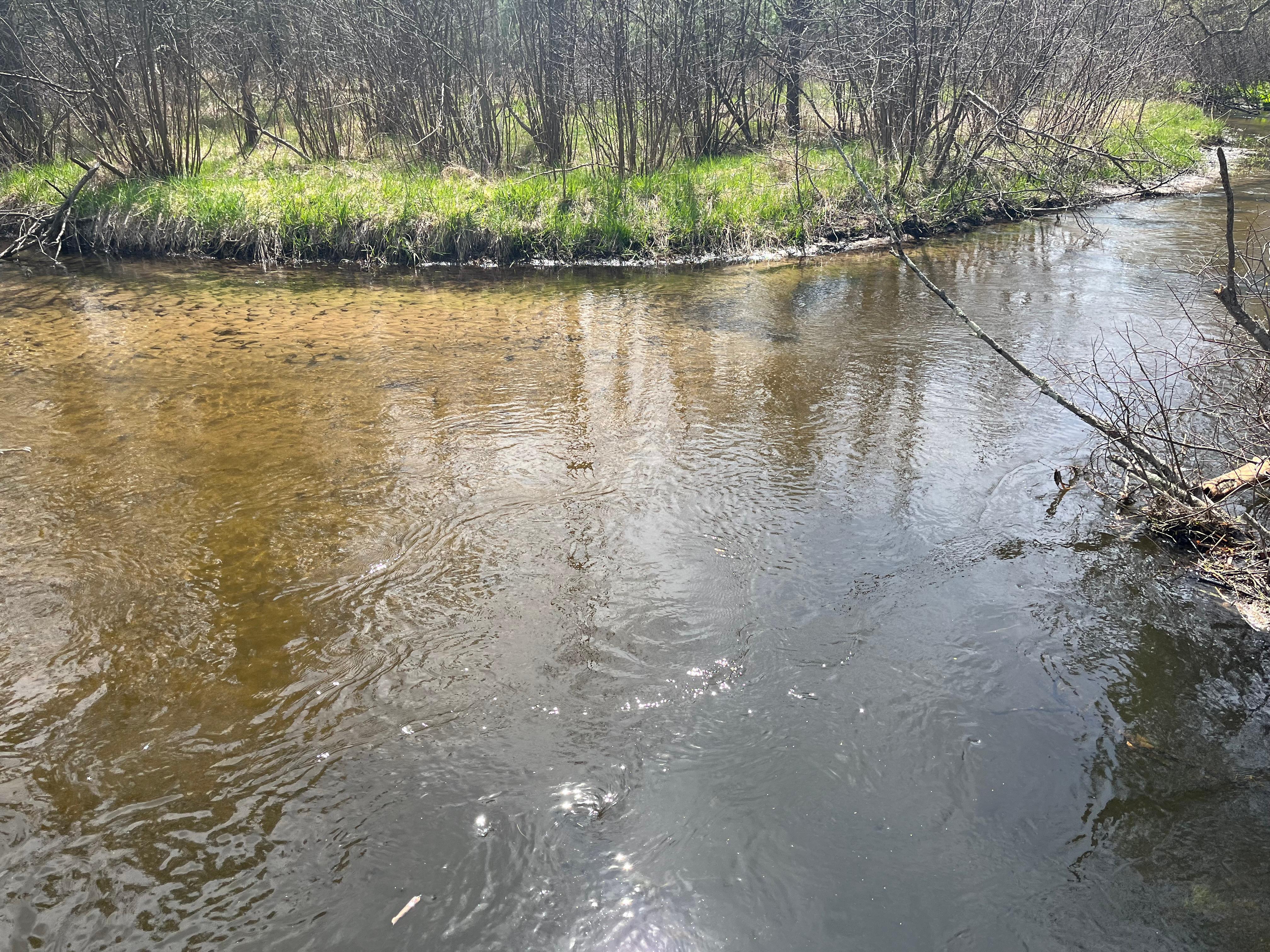 River view