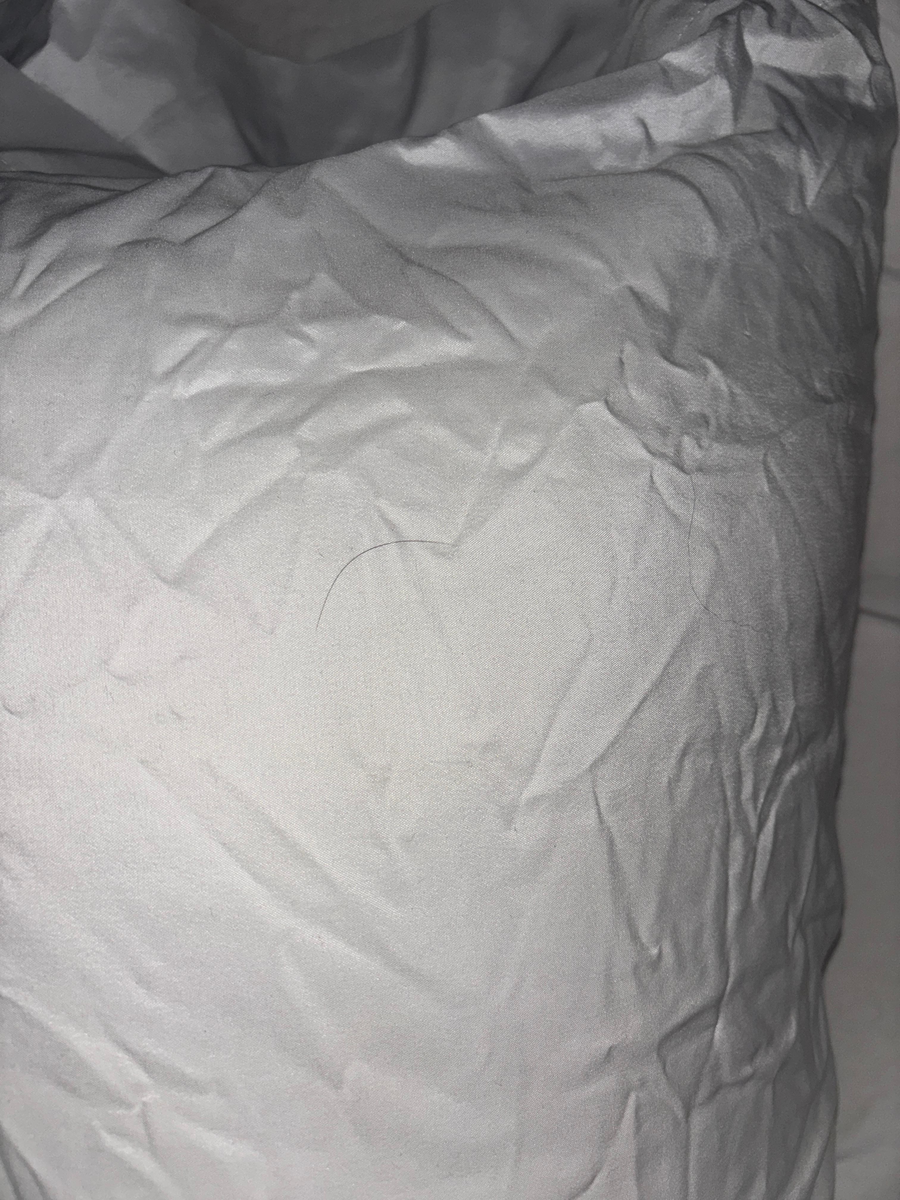 Long black hairs on everything