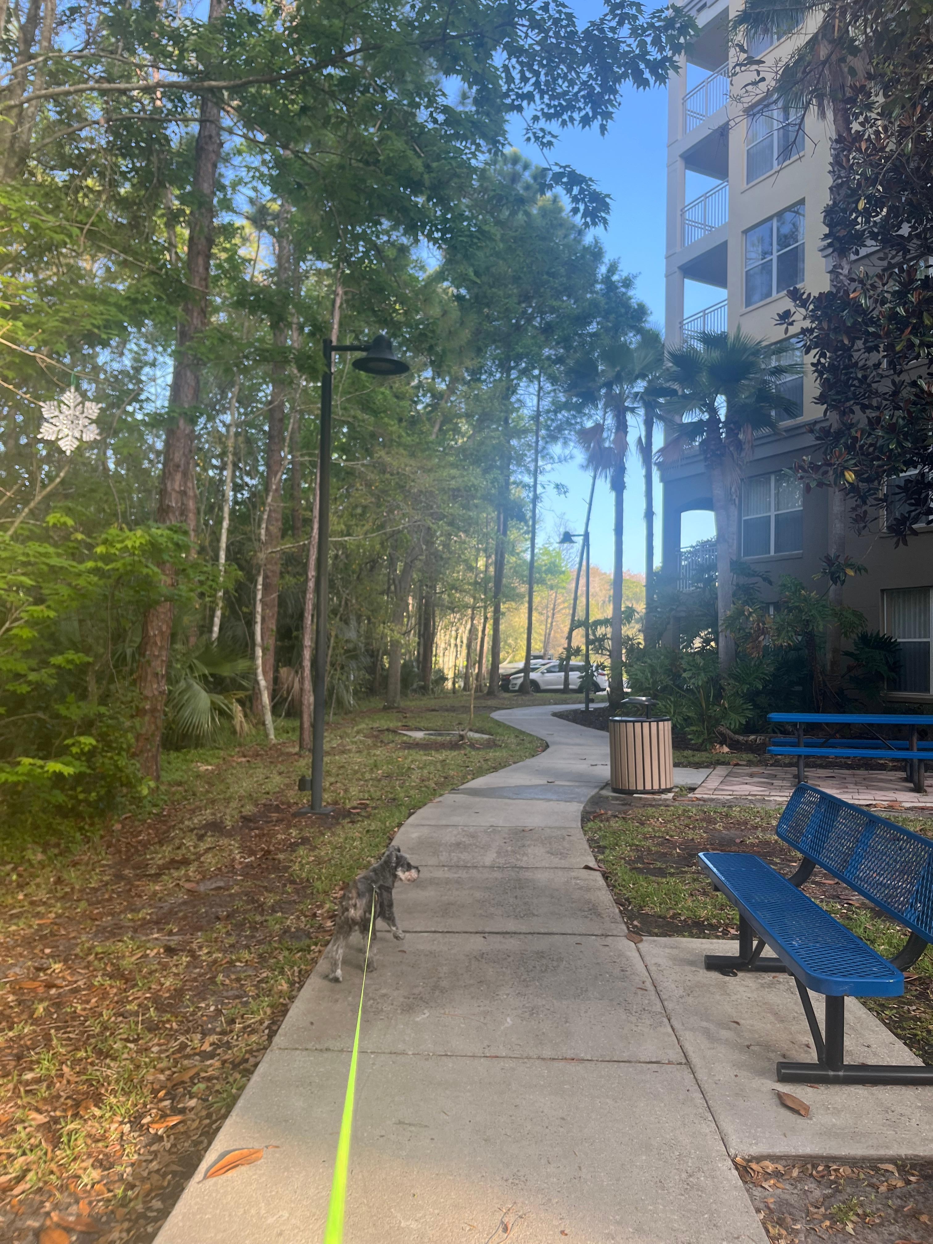 Walking path from
Building to building. 