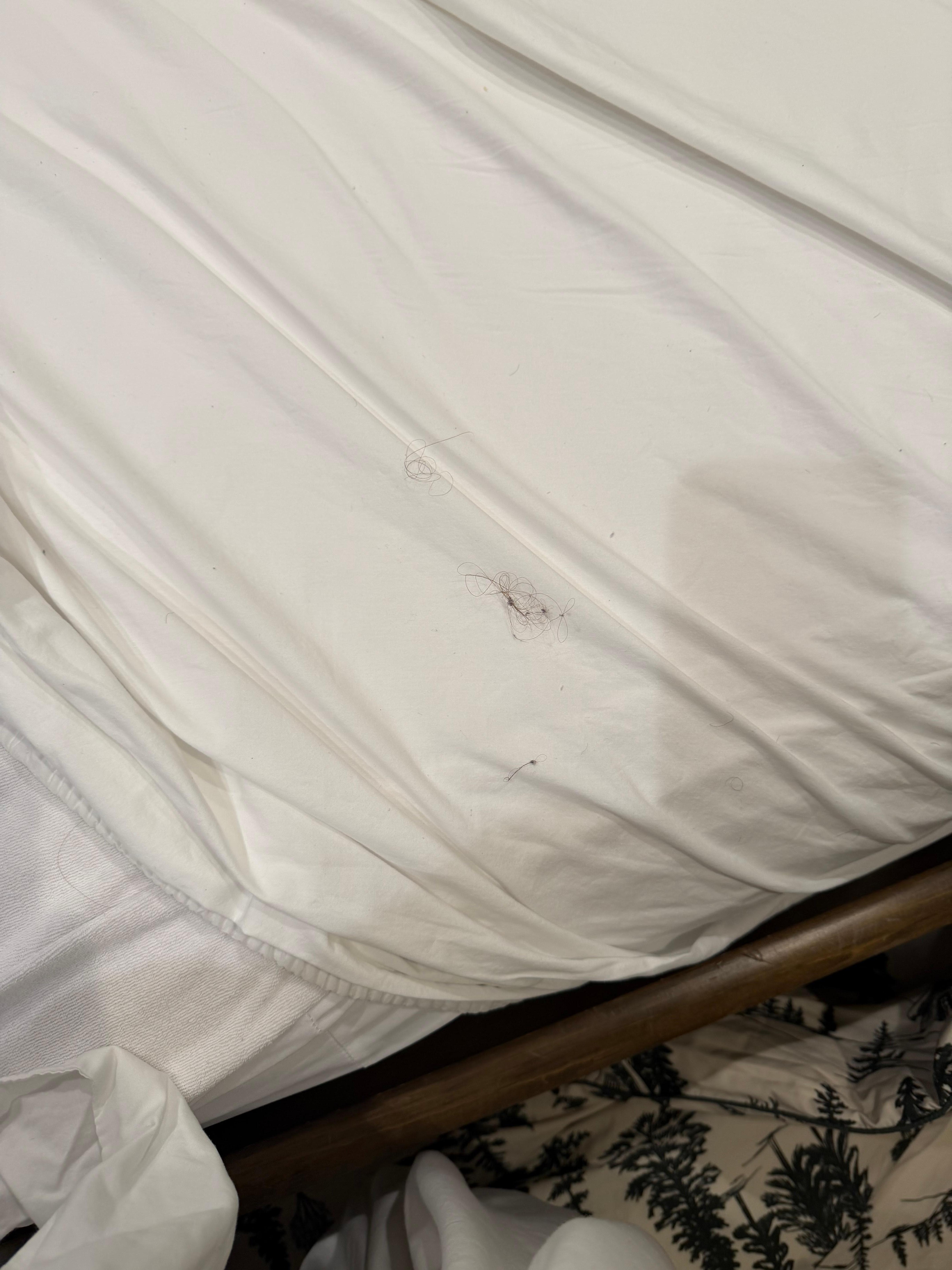 Debris at the bottom of the bed