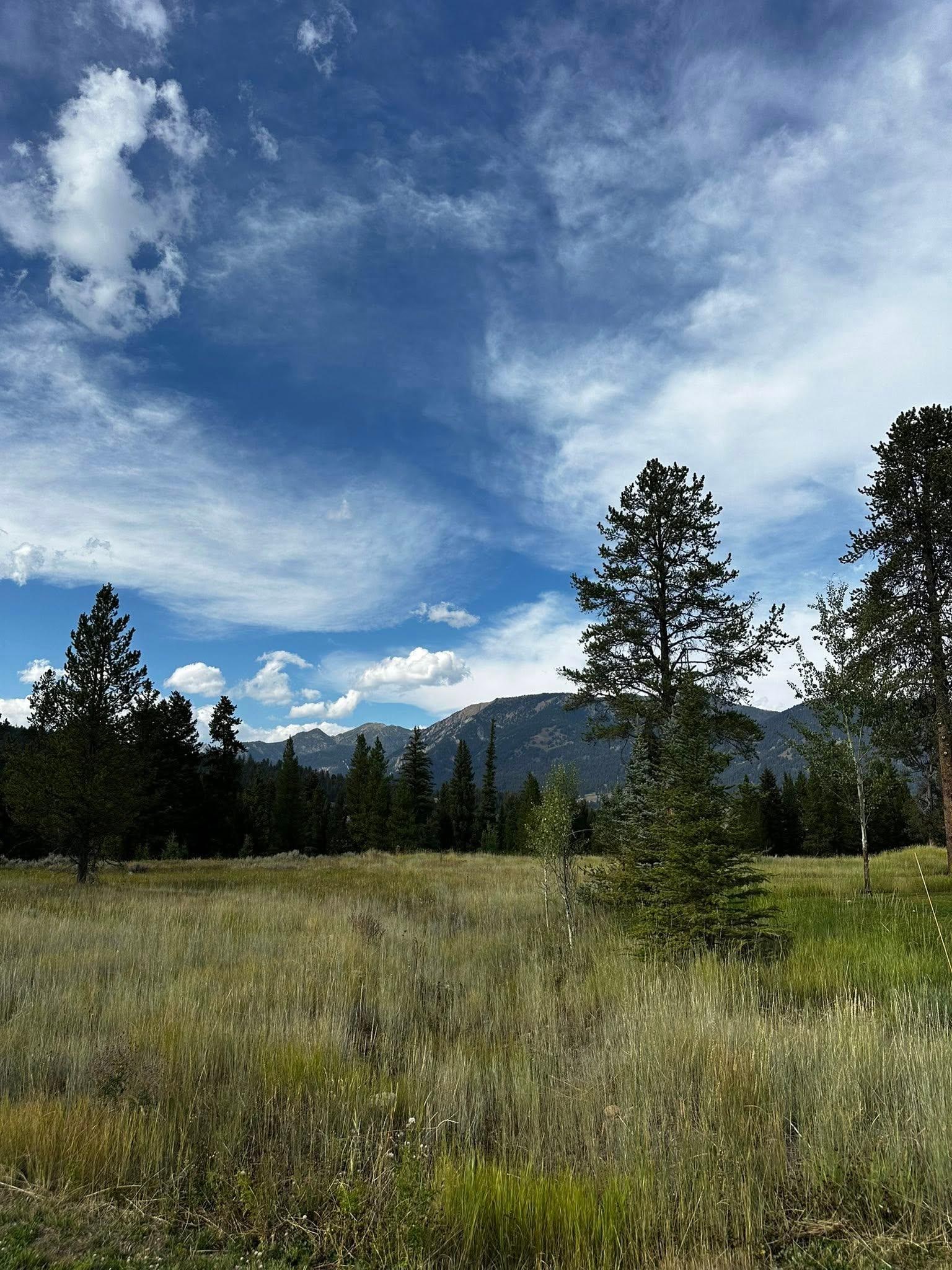 Beautiful views from the house