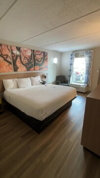 The room after I checked in/ water damage by window
